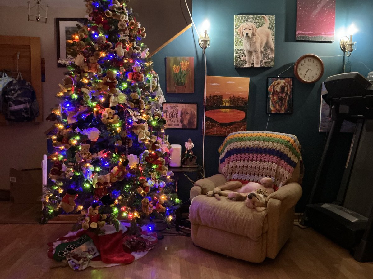 hidingout2's tweet photo. ♥️♥️ #Goldens https://t.co/7nl9PiU3ew