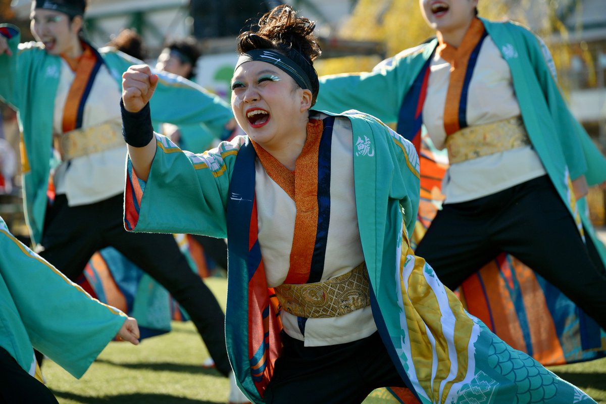 どまつり名古屋学生チーム鯱衣装送料込み 4K] 名古屋学生チーム『鯱』 にっぽんど真ん中祭り 2025 どまつり