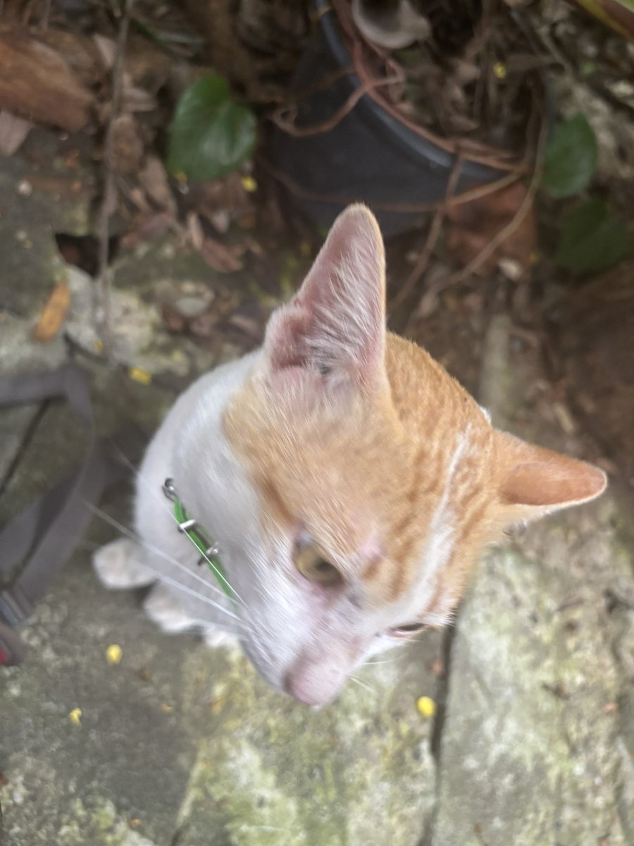 นอนเล่นน tweet media