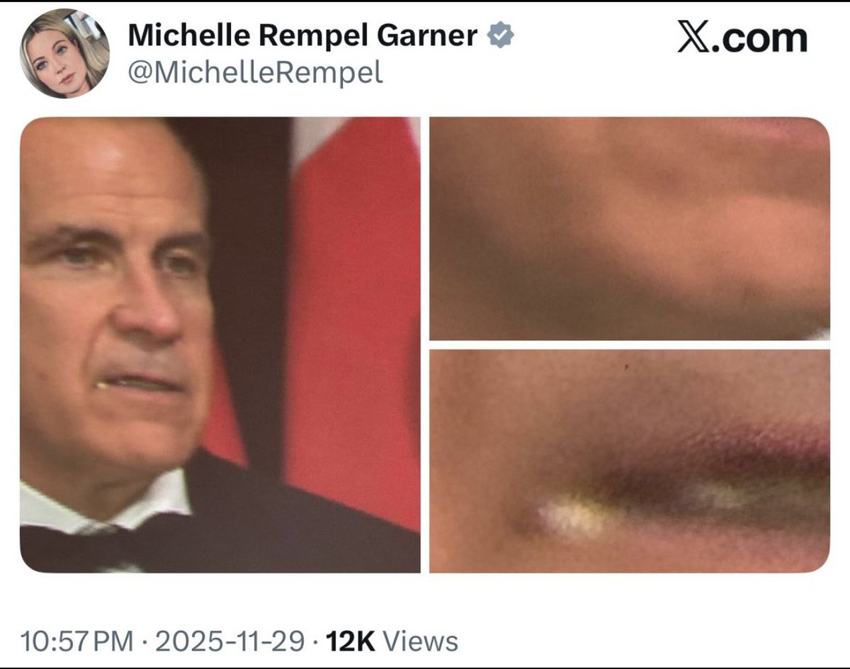 Garnet_2203's tweet image. Imagine being an elected MP and thinking your big contribution to Canada is… posting close-ups of the PM’s mouth. 
If this is what she does on the clock, no wonder nothing gets done. Stop doomscrolling and start working. #michellerempelgarner @MichelleRempel…