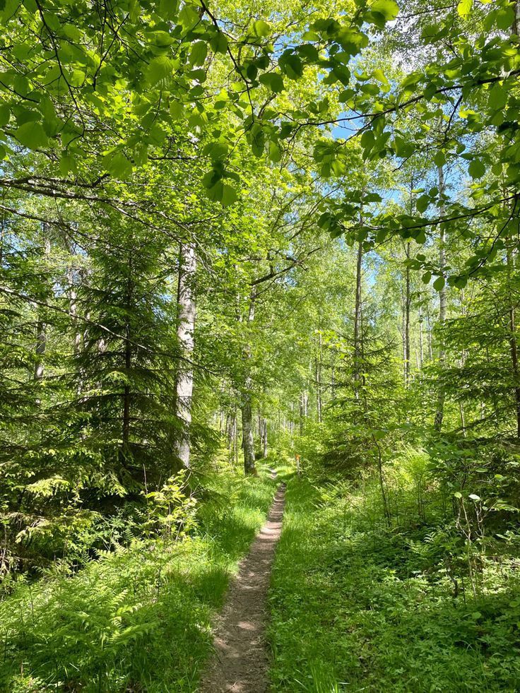 Wa-Bush (@bondzabby) on Twitter photo 