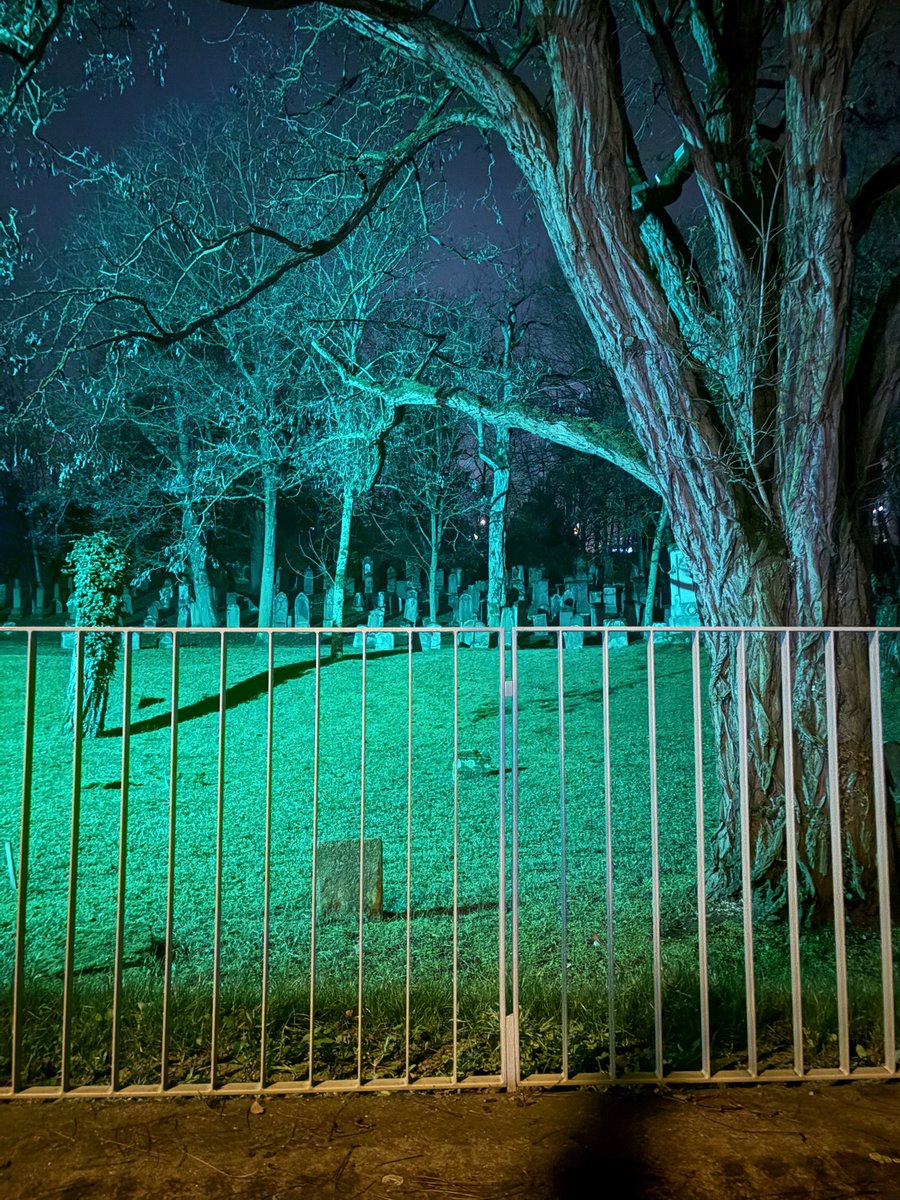 wieso ist der Friedhof bei mir in der Nähe so opium
