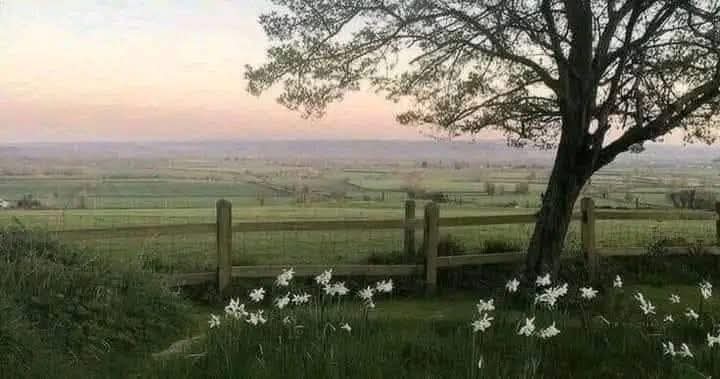 مساء الخَير ♡︎

«إنّما الدنيا صَبر ساعة ، والجنّة دَار الأفراحِ»
يا ربّ اجعلنا كما تُحب وترضى.