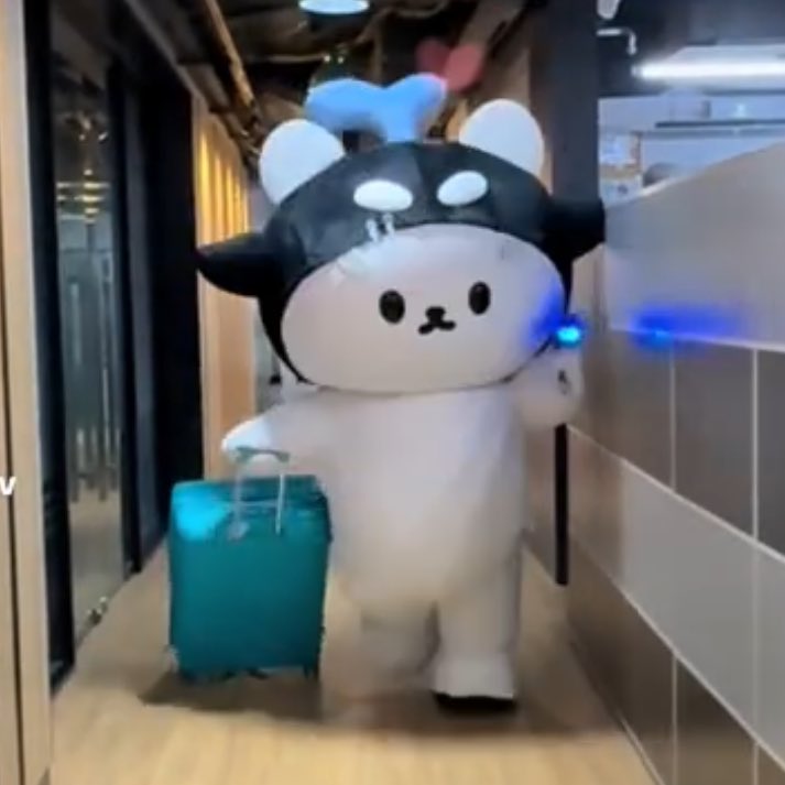 mnmc9997's tweet image. #ADogAndAPlane