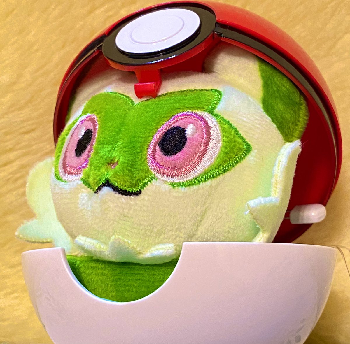 答えはニャオハでした✨