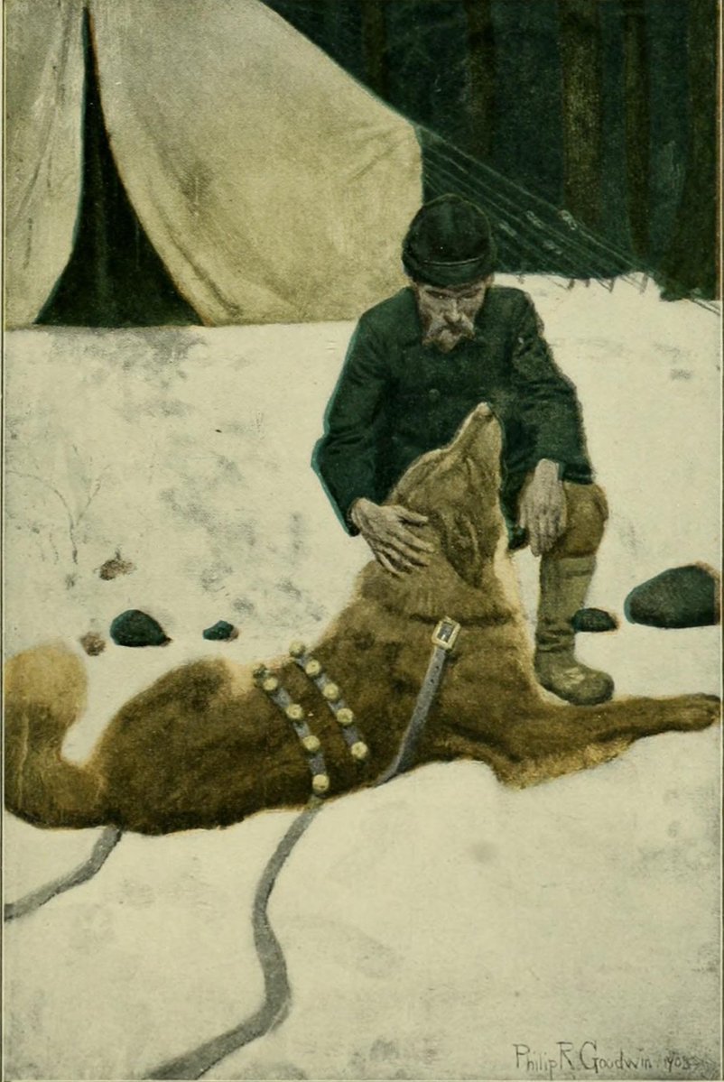 SaveRedlandLibr's tweet image. “Love, genuine passionate love, was his for the first time.” 

📖 “The Call of the Wild” ~ Jack London, 1903

#BookchatWeekly #SundayBookChoices

🎥 “The Call of the Wild”, 2020
12:50pm TODAY on @Film4