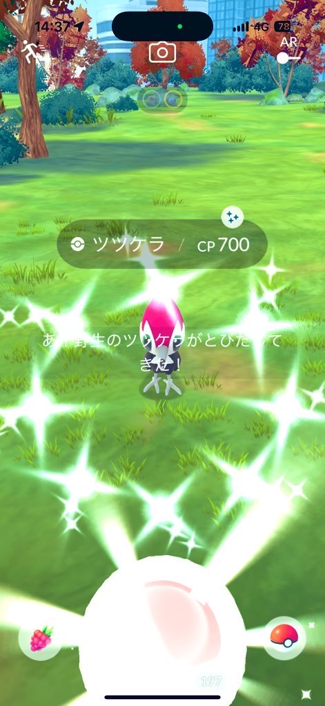 PINK_GOGOGO's tweet image. わーぃわーぃ٩(ˊᗜˋ*)و
ピンクだピンクだ🎀💕💓💗

#ポケモンGOしてる人と繋がりたい 
#ポケモンGO女子
#ポケモンGO
#PokemonGO
#PokemonGOfriend
