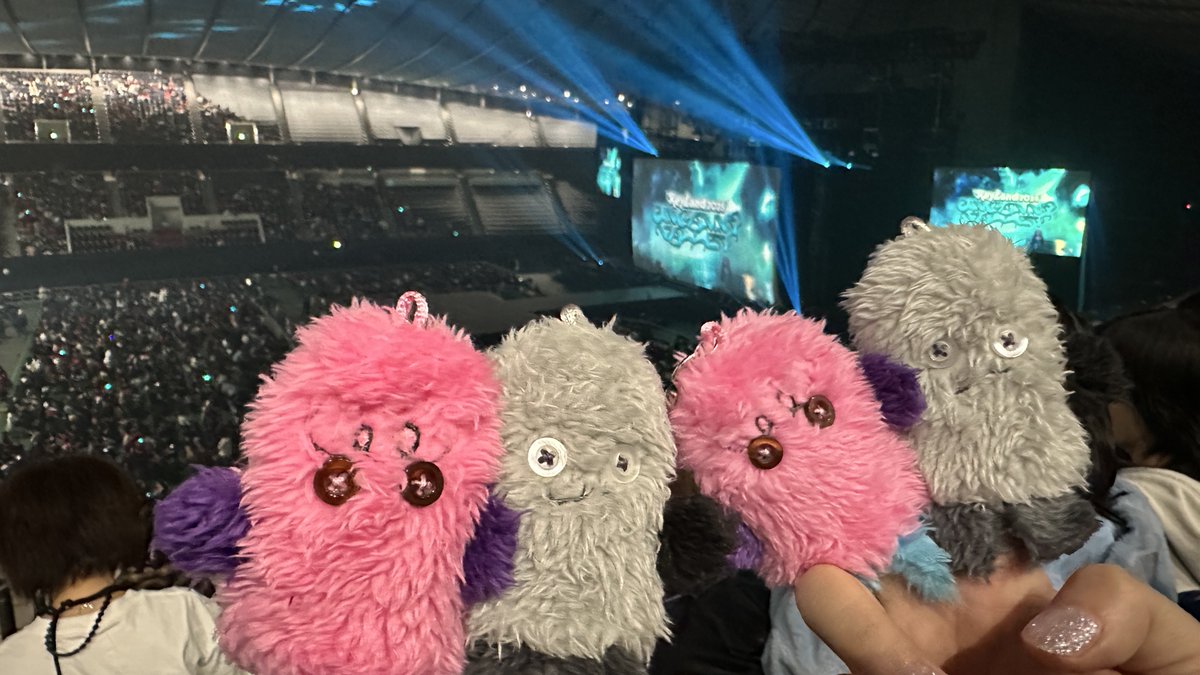 まいまい tweet media