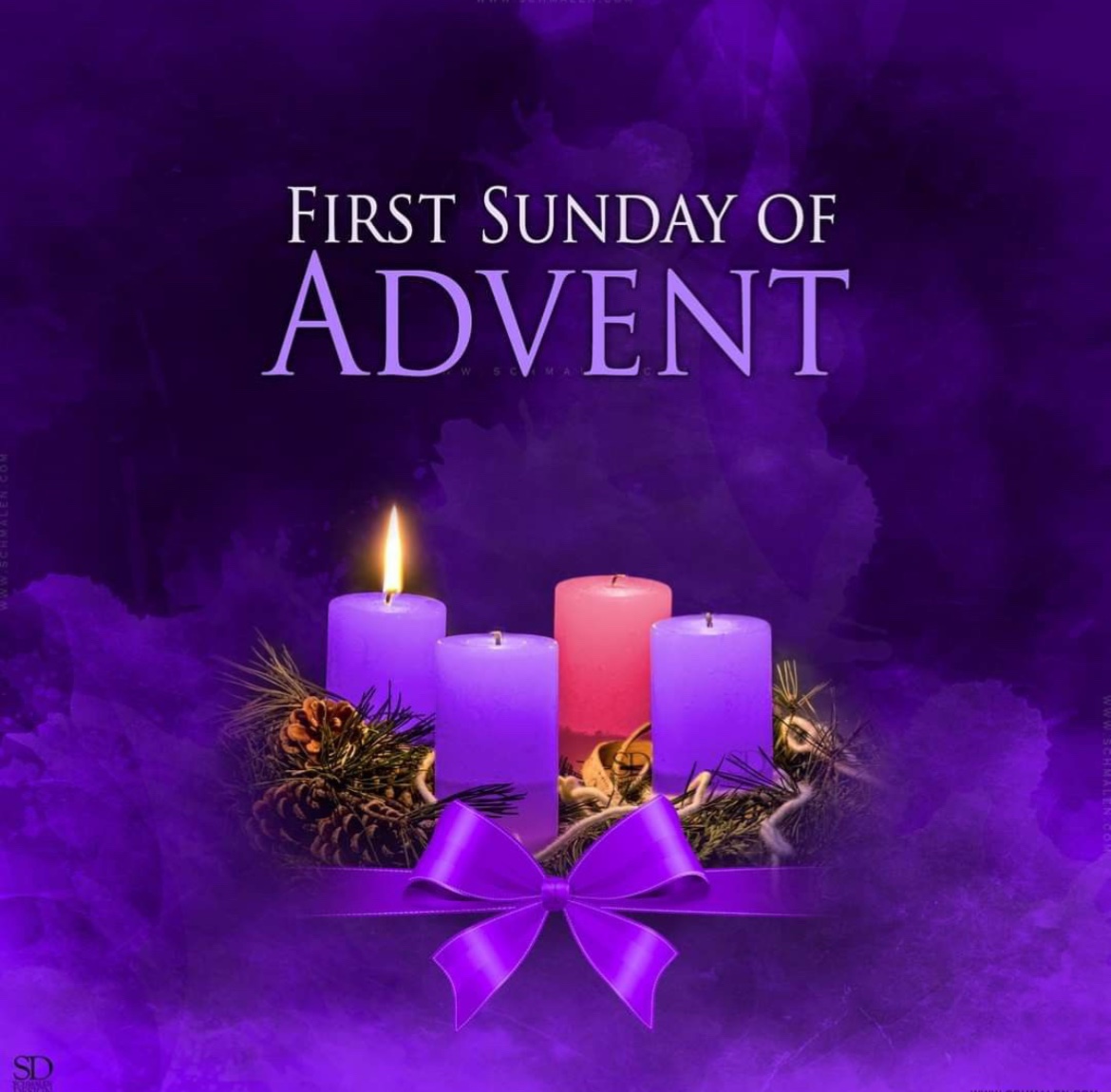 Catholic Life (@prayandfast2) on Twitter photo 