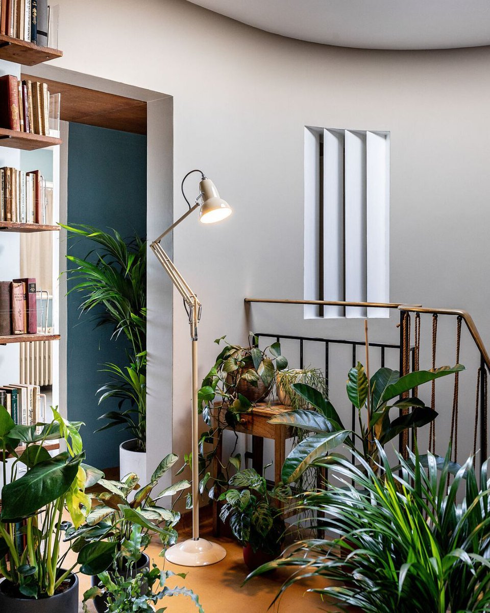 Anglepoise® tweet media