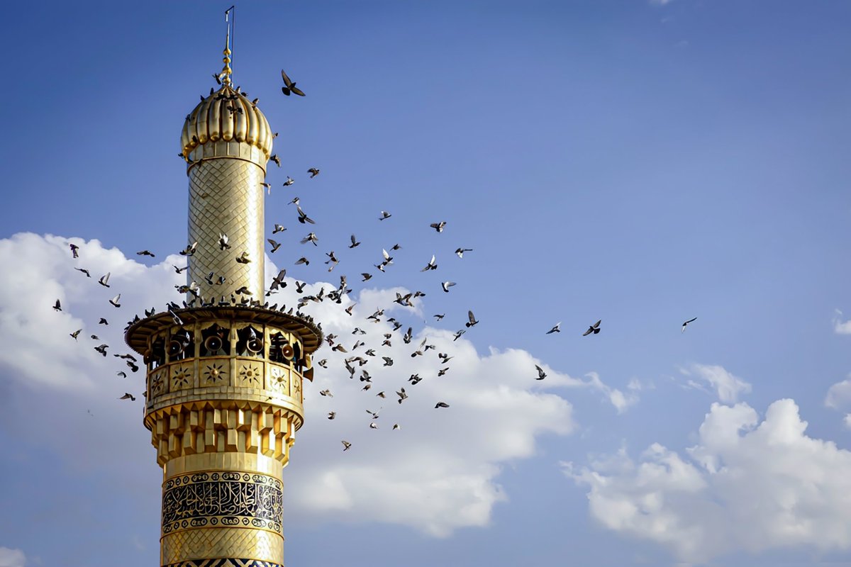 "حتى الحمائم ترفرف في سمائك آمنة وتحط على أعتابك مطمئنة.. يا حامي الظعينة وساقي العطاشى"

#العتبة_العباسية_المقدسة