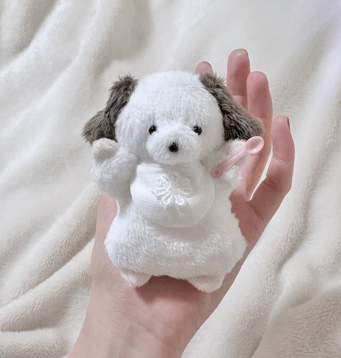 人生初🌟作品交換させていただきました🫶
手乗り状態可愛すぎるしペレットの重みが愛おしい😭✨

昔飼っていた愛犬の名前からとり、この子の名前は「さしゅけ」です🐶
これからよろしくね、さしゅけ❣️

#みんなのおもちゃばこ