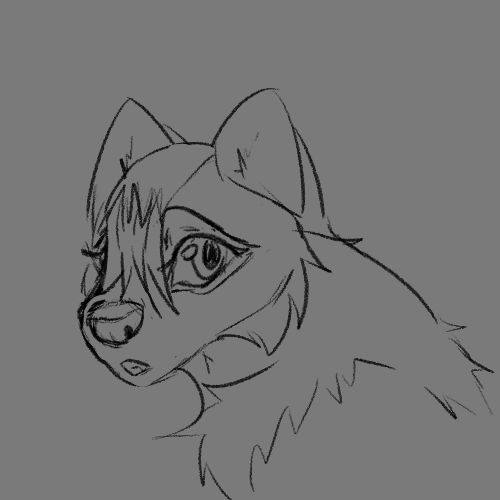 ChamuMisu tweet media