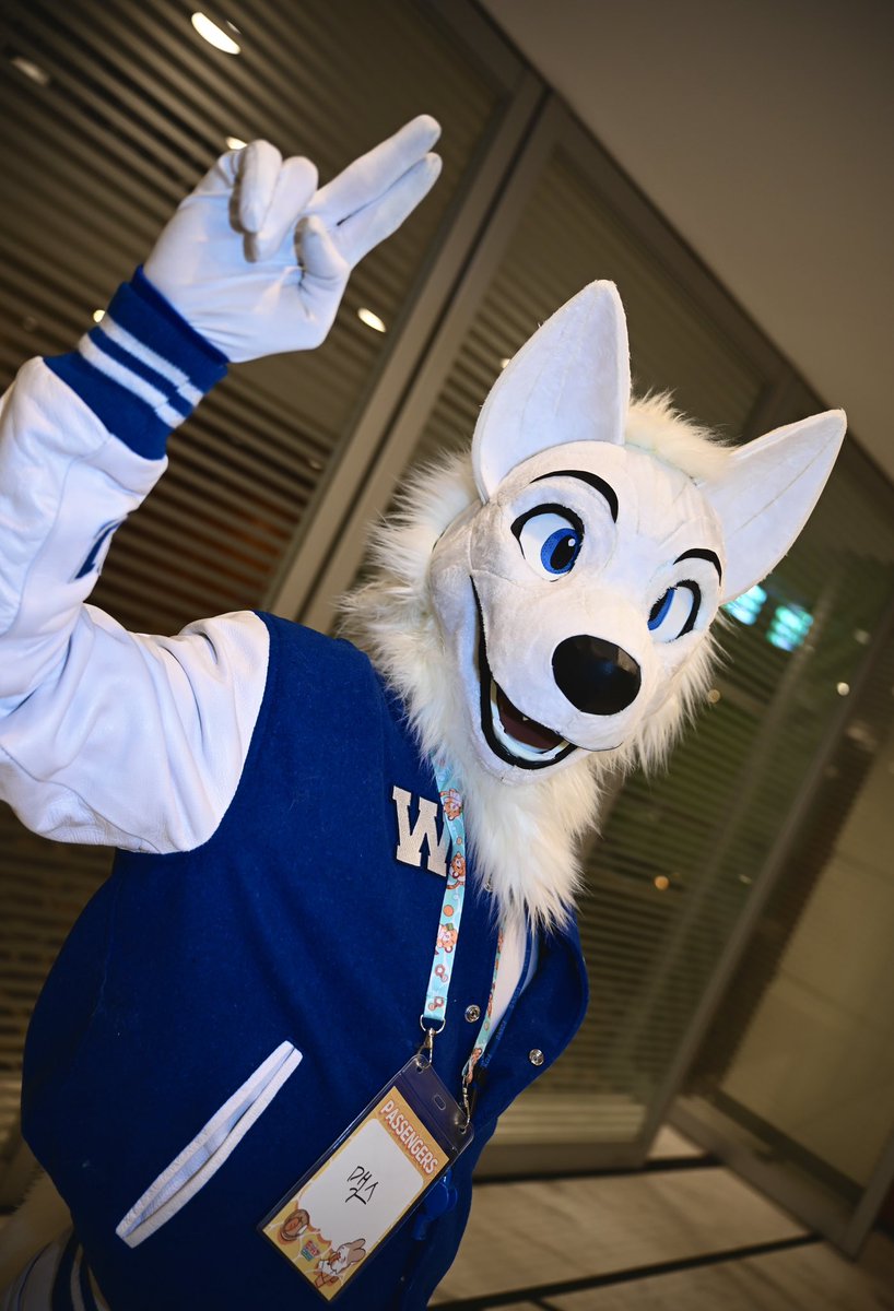 새로운 한주 용기를 가지고 시작하기!
내일부턴 12월이라고✨💙✨😤😤

#FursuitEveryday #fursuit