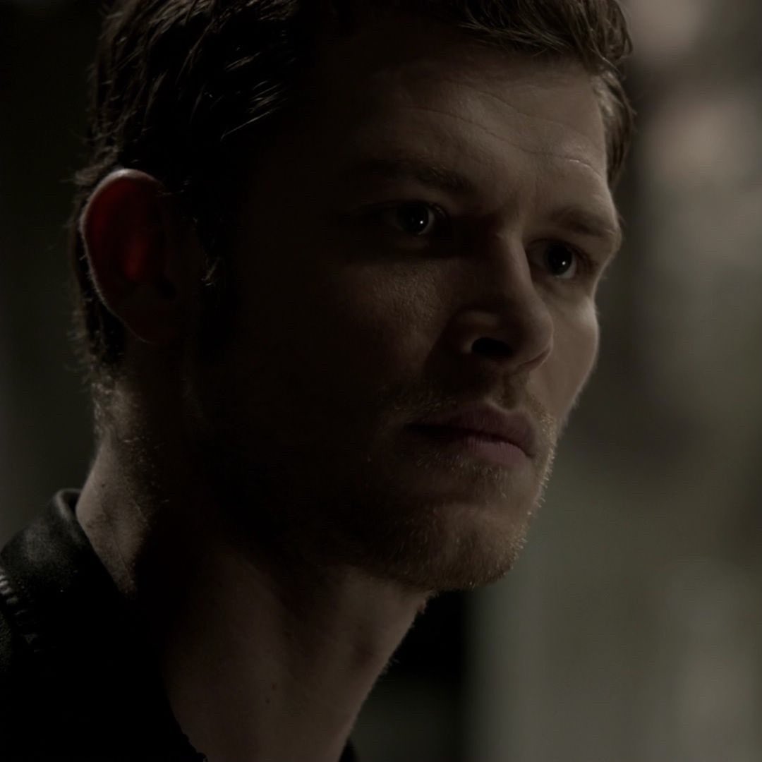 ‍ ‍ ‍‍ ‍ ‍‍ ‍ ‍‍ 𝓝𝑰𝑲𝑳𝑨𝑼𝑺. tweet media