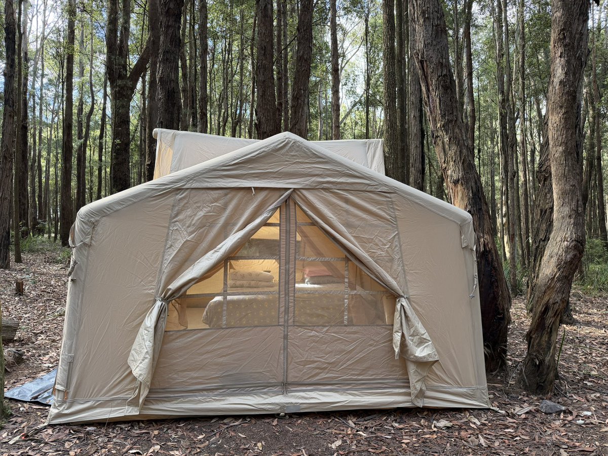 一枝独秀SJ/苏静 tweet media