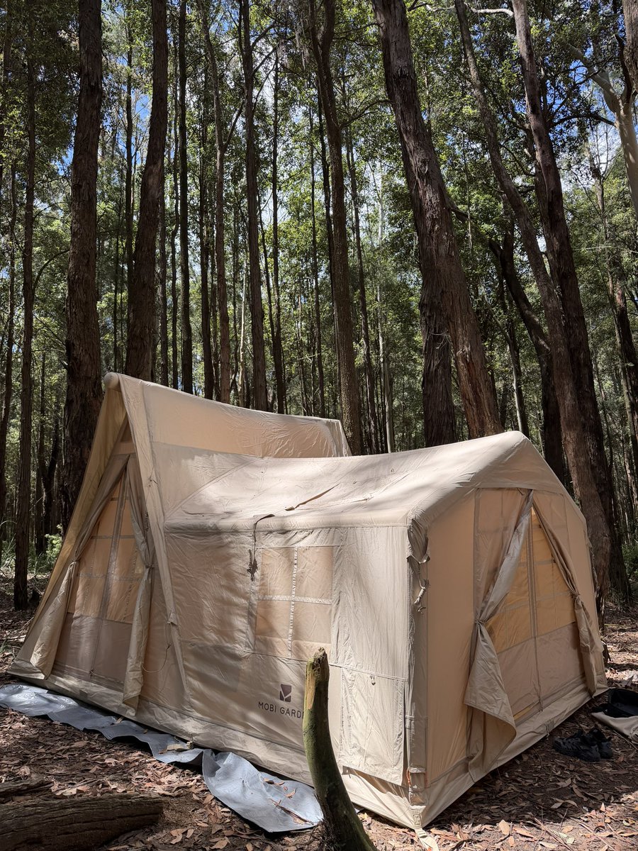 一枝独秀SJ/苏静 tweet media