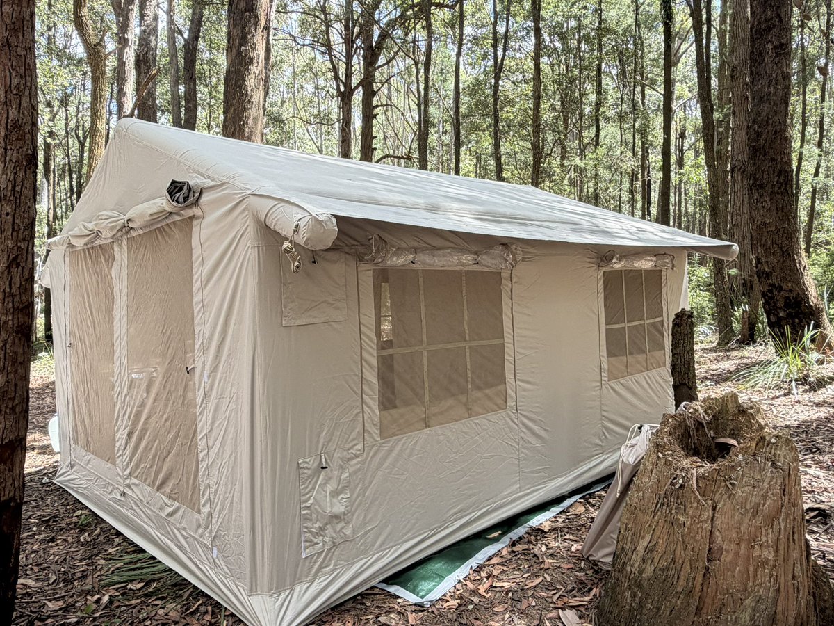 一枝独秀SJ/苏静 tweet media