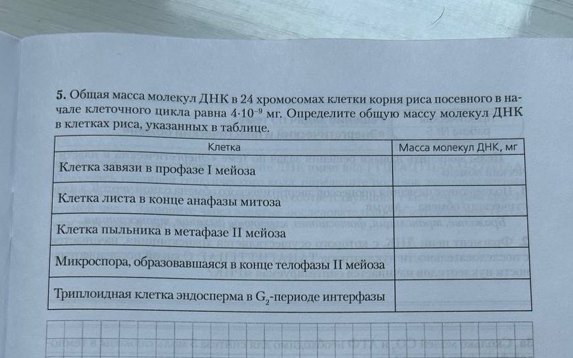 смурфик tweet media