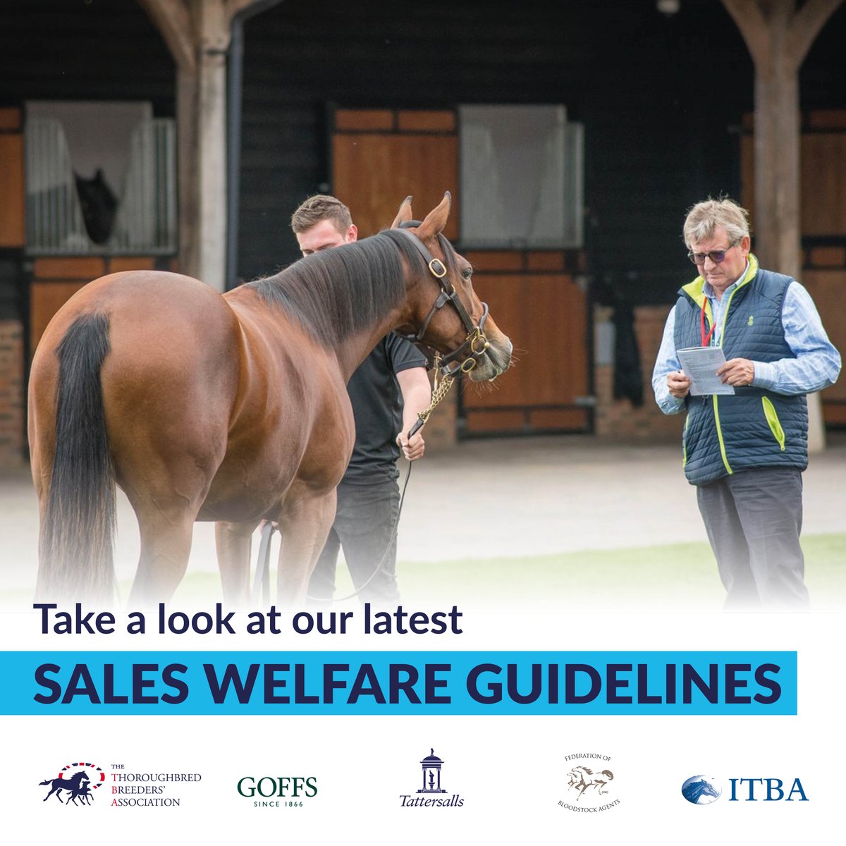 The Thoroughbred Breeders’ Association (The TBA) tweet media