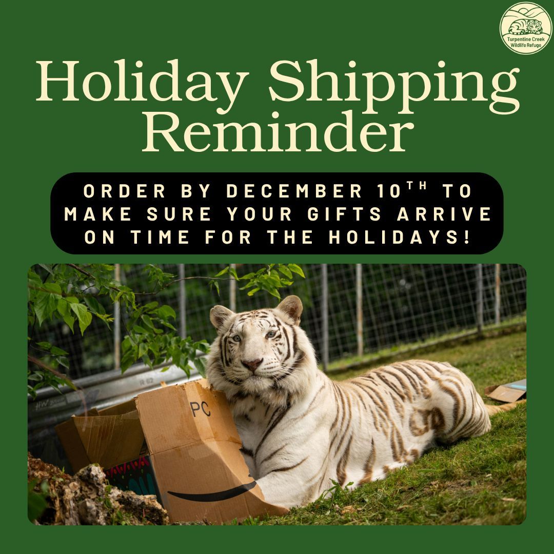 turpentinecreek's tweet image. 📦✨ Holiday Shipping Reminder!
To make sure your gifts arrive on time, plan ahead and place your orders by December 10 🐾

Every purchase supports the rescued cats at Turpentine Creek 💛

🛒 Shop now →  shop.turpentinecreek.org

#BlackFridaySale #GiftsThatGiveBack