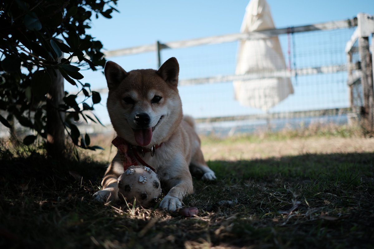 夏ちゃん #XS20 #XF23mmF2