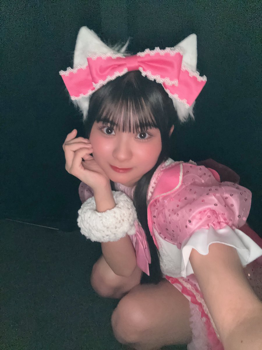 ひめにゃん ひめにゃん