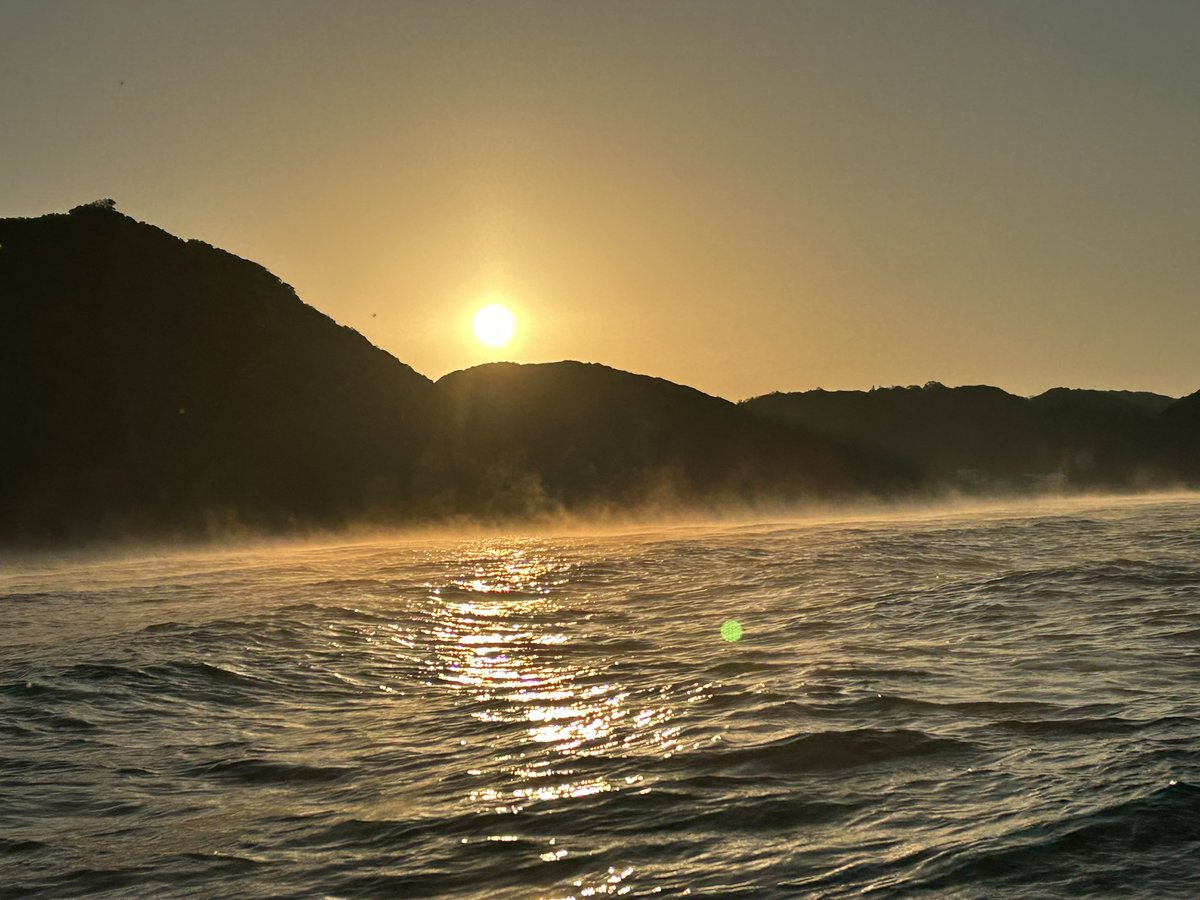 Tuyoshi (@QM6xqb8yGjV3Z7n) / Posts / X