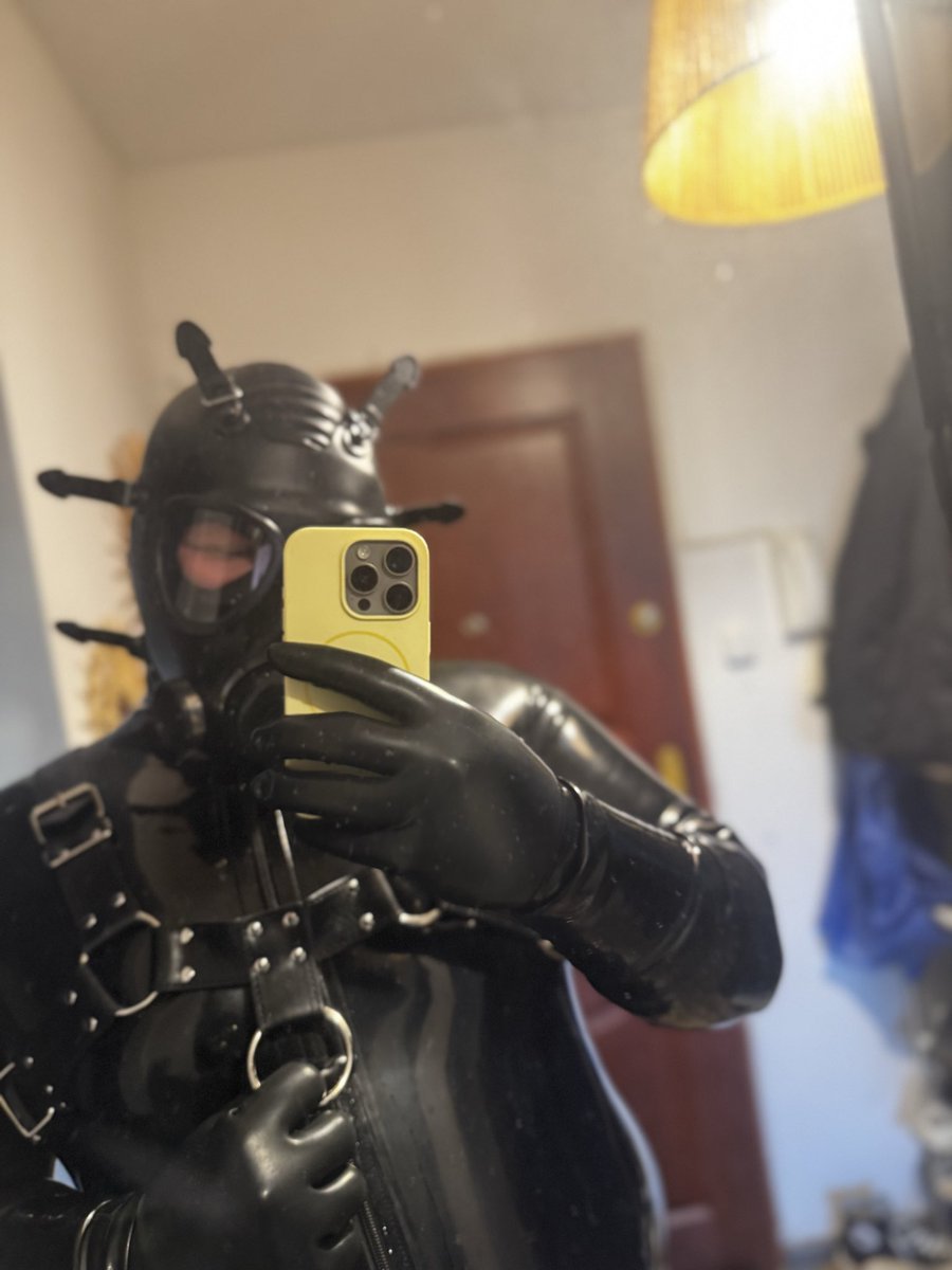 pupmarlemo's tweet photo. https://t.co/NPBxXVDXlg
