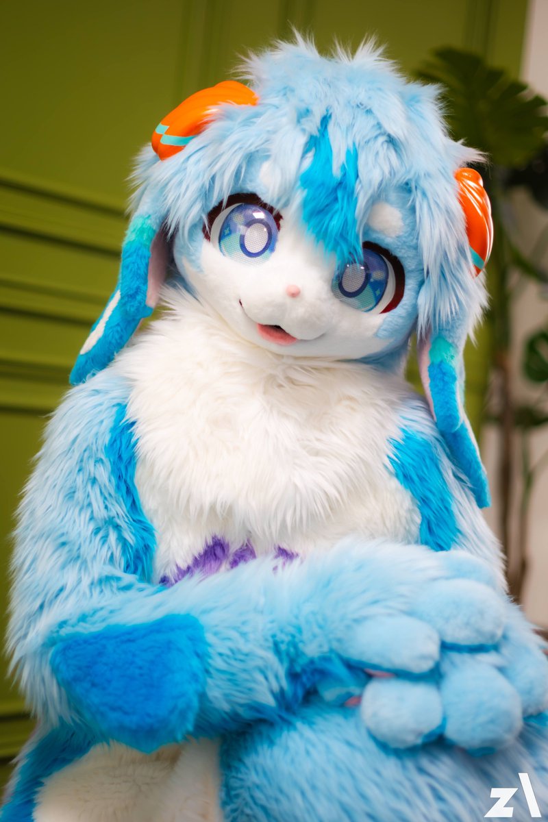 😁 
📷 : <a href="/zhumook/">주묵 (朱墨)</a> 
#FursuitEveryday #Splash