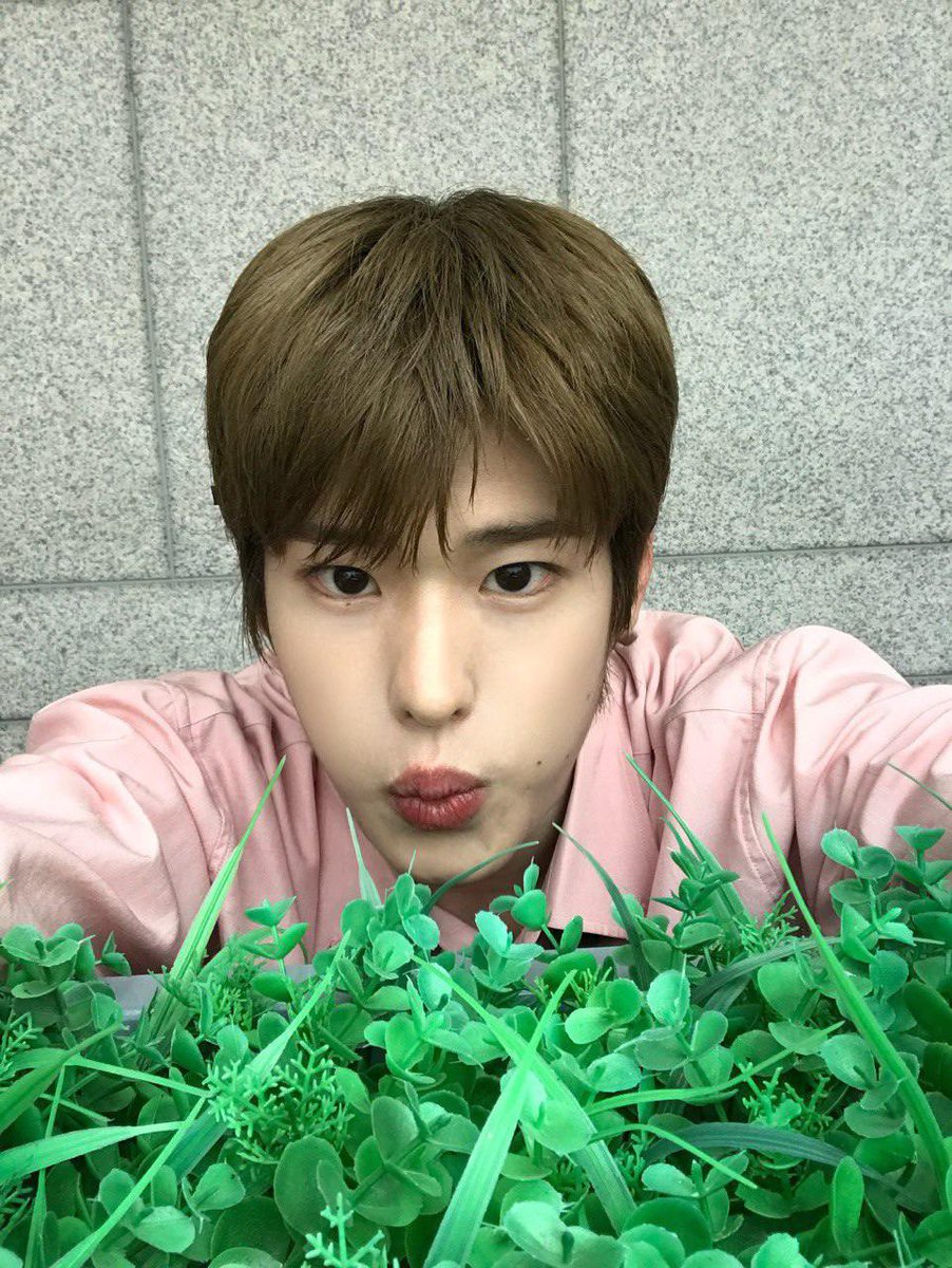 mylittlekkikki's tweet image. 인기가요에 갔으면 풀밭에 가줘야하는 강아지
😭😭😭😭😭😭😭😭🐶🐾🐾