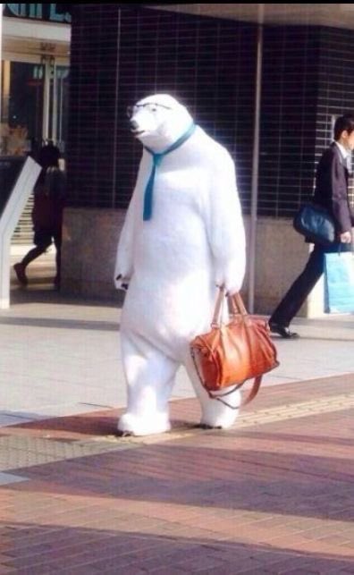 9TIMExD's tweet image. 🐻‍❄️🐻👜👔