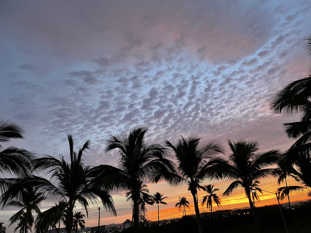 KateOHehir's tweet image. #Delphi Mornin’ Cranks! Happy Sunday,