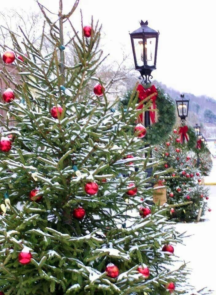 RuwaidaAbd's tweet image. Good morning everyone