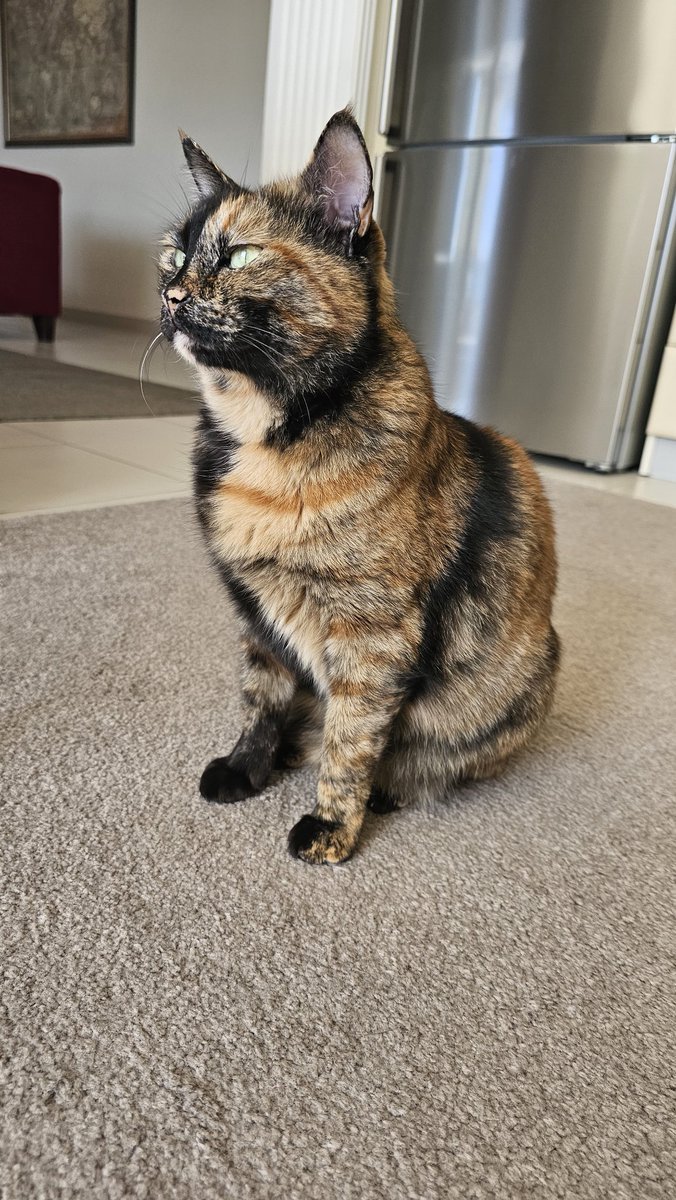 sertackes's tweet image. #türknet ten sonra ucuz olsun diye #millenicom #netspeed #migrosnet #ttnet #netgsm aldım hepsi leş

Bölgenizde en iyi hangisiyse onu seçin
Bu kodla #turknet e abone ol  ilk ay bedava

QJT40UO74BCA
TTI96MV12PAD

#superonline #vodafonenet #fibimnet  #gibirnet  #dsmartnet