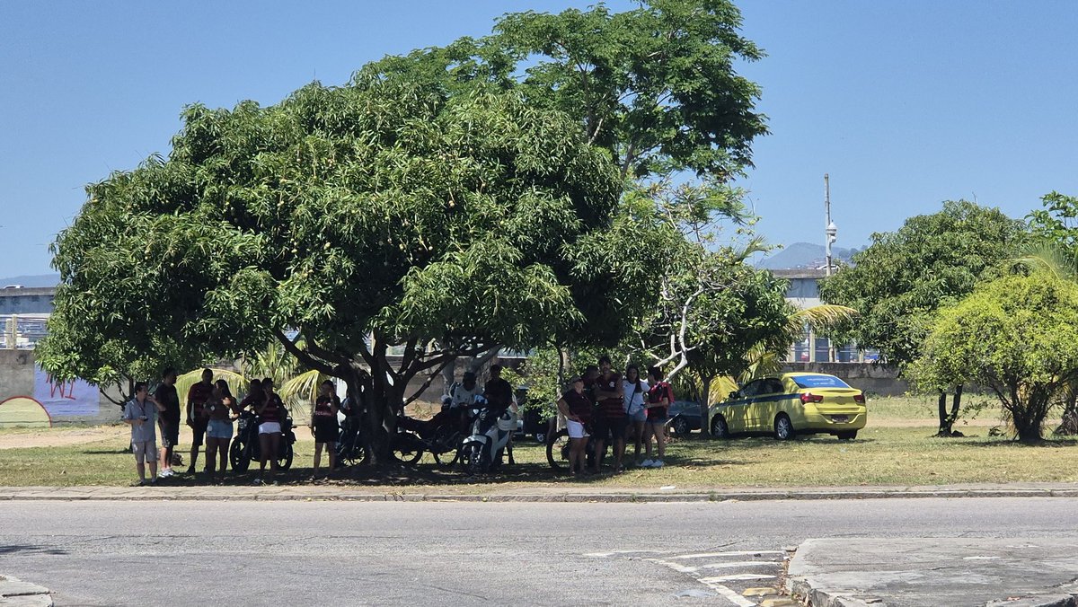 Avião da delegação do Flamengo aterrissou às 10h aqui no Galeão. Jogadores passarão pela alfândega e depois entrarão em ônibus descaracterizado que vai percorrer 15km até o centro do Rio, local da festa do título. Batedores da polícia e da torcida estão a postos.