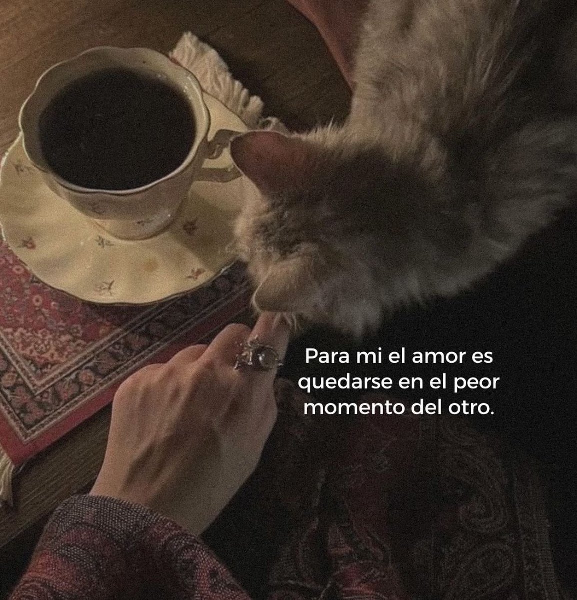 🌙 mini textos (@soyminitextos) on Twitter photo 