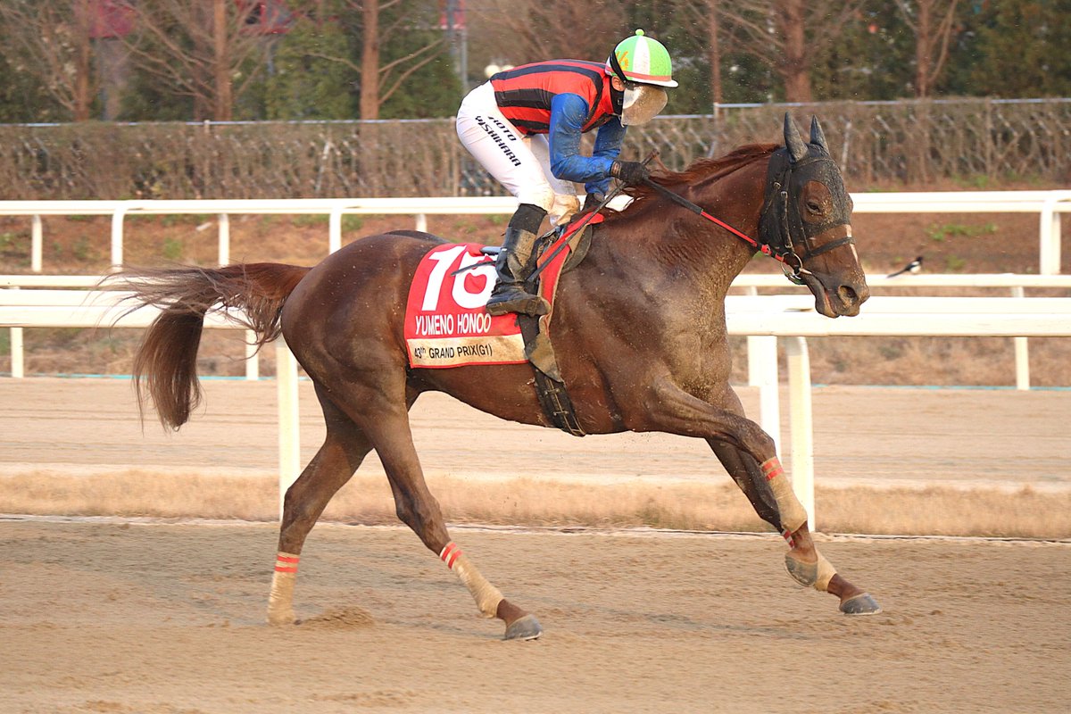 【超希少♦︎ファンファーレ鳴る馬あり】競馬　18体　JRA スーパーホース 超希少♦︎ファンファーレ鳴る馬あり】競馬 18体 JRA スーパーホース