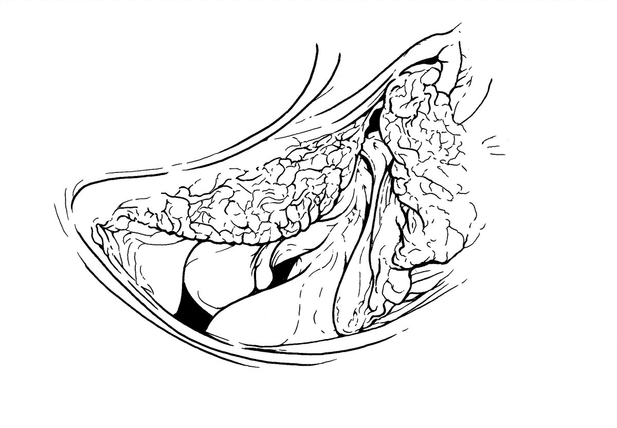 あうんもん🔞 (@vagina_art) / Posts / X
