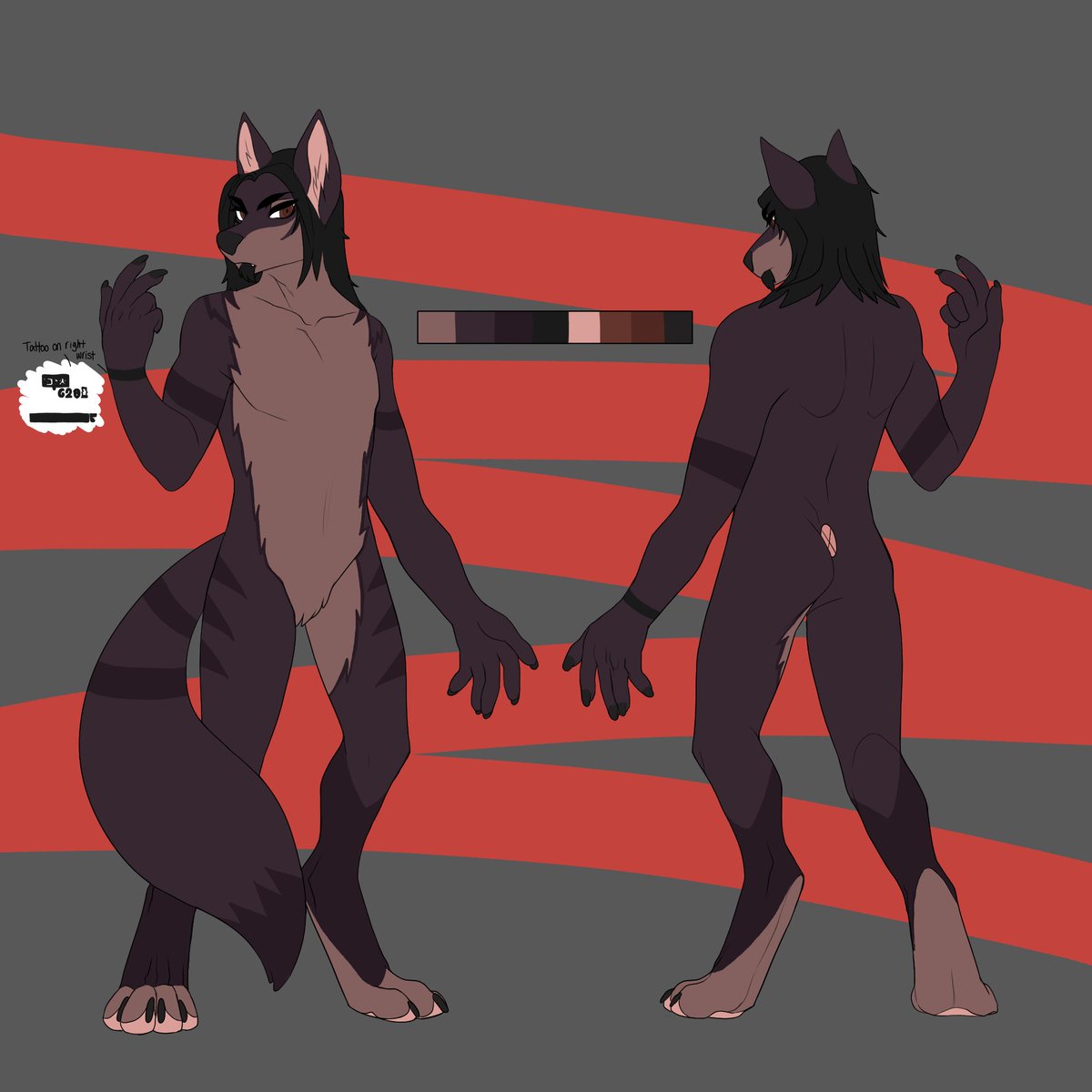 Apollo Shadowbrook tweet media