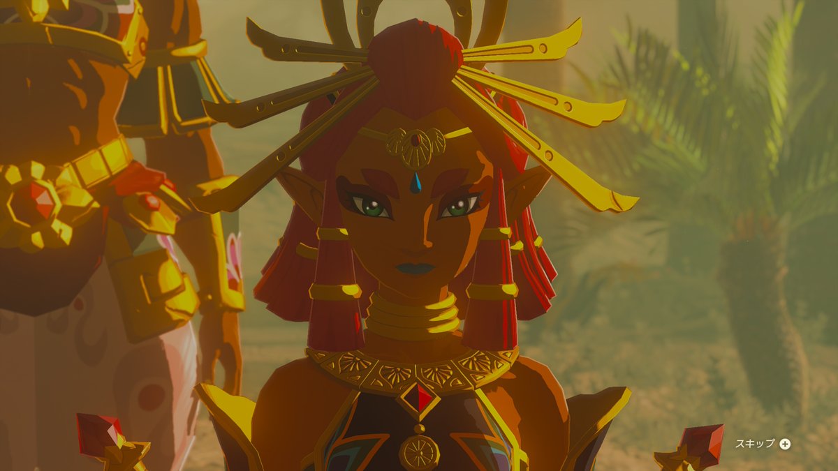 Switch2 #ティアキン ルージュ様写真集