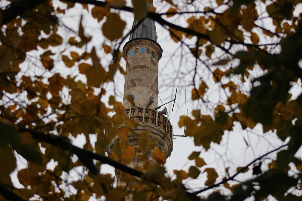 Gönlümün sükûtu bile, hâlini bilen bir dosta muhtaç… 🌙🍁🍂