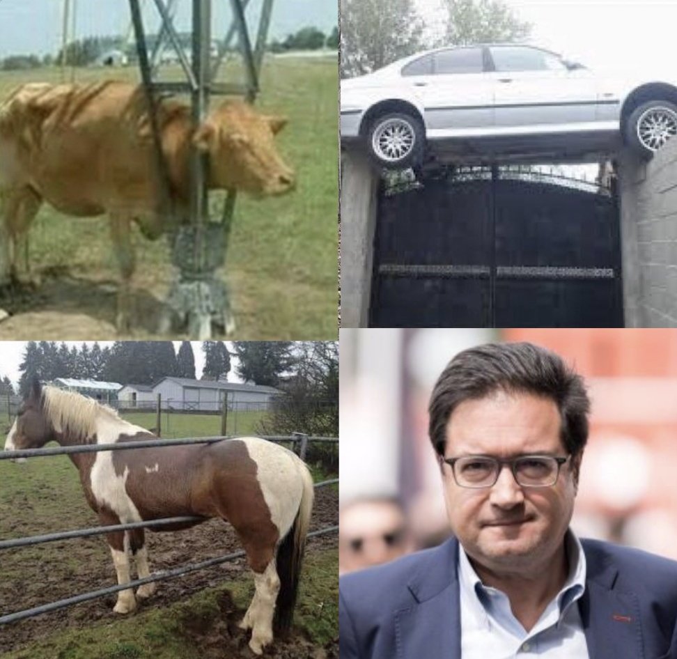 “Cosas que no sabes cómo han llegado ahí”