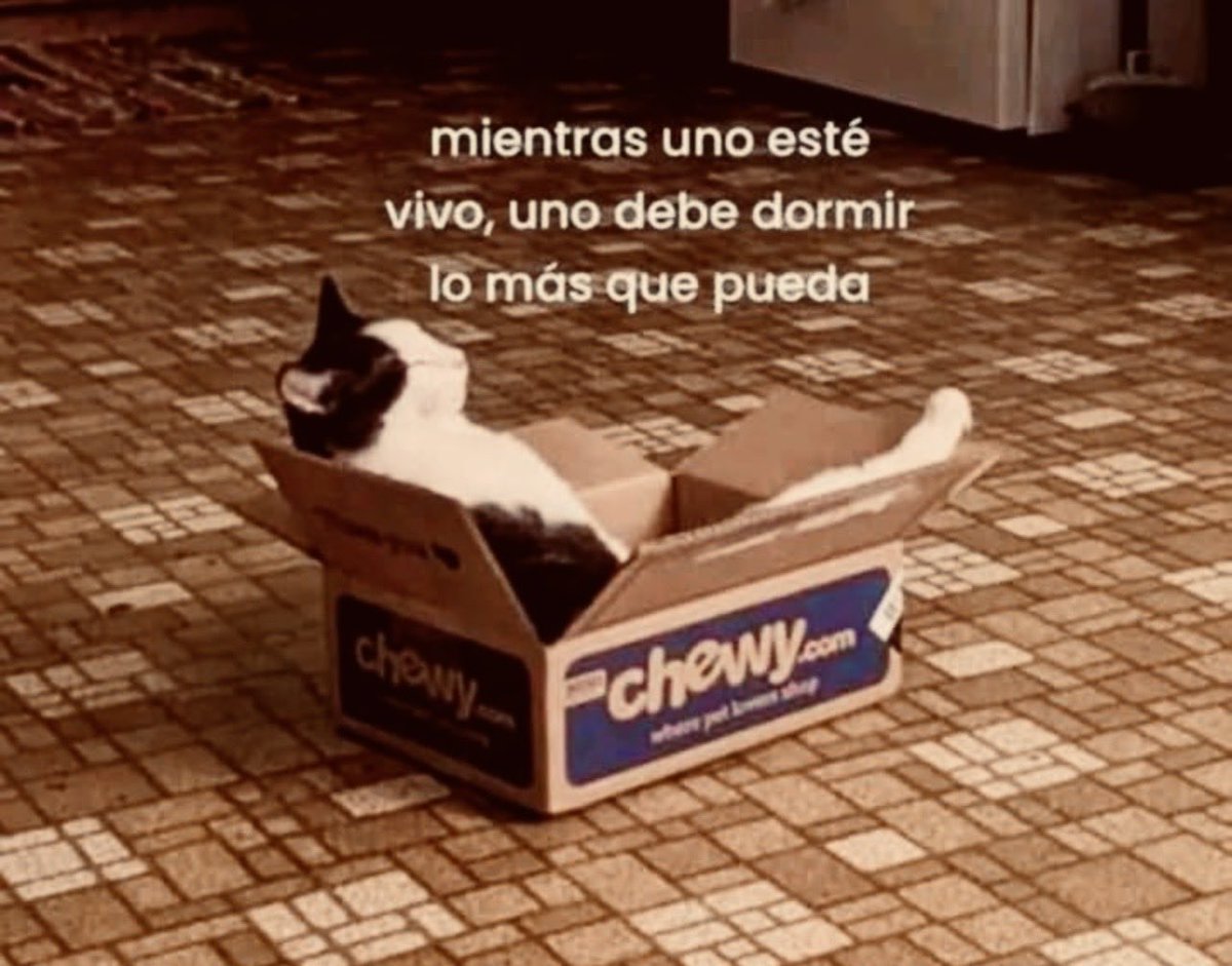 ★ 𝘌𝘳𝘪𝘬𝘤 𝘚𝘩𝘢𝘳𝘦 ★ (@erikcshare) on Twitter photo 
