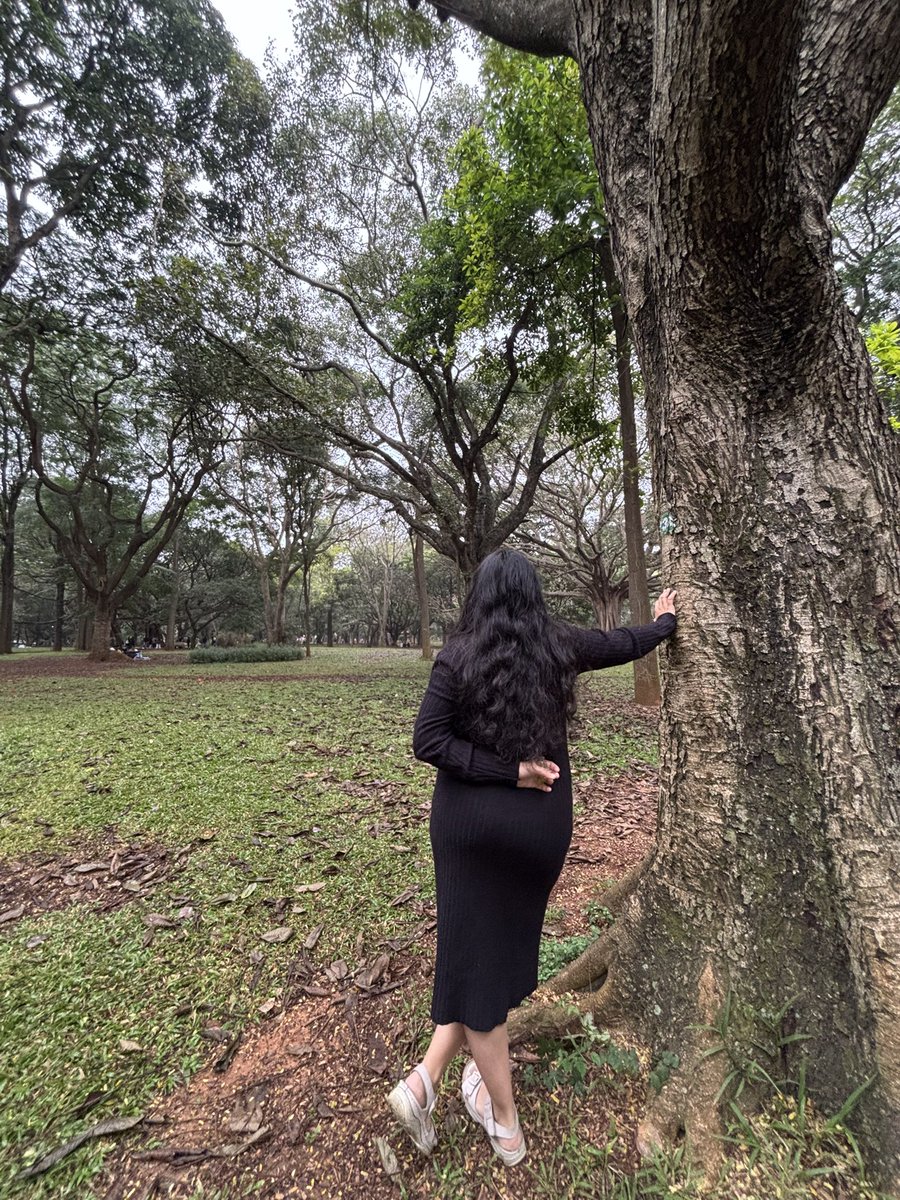 asyncunnati's tweet image. Postcards from Cubbon Park
