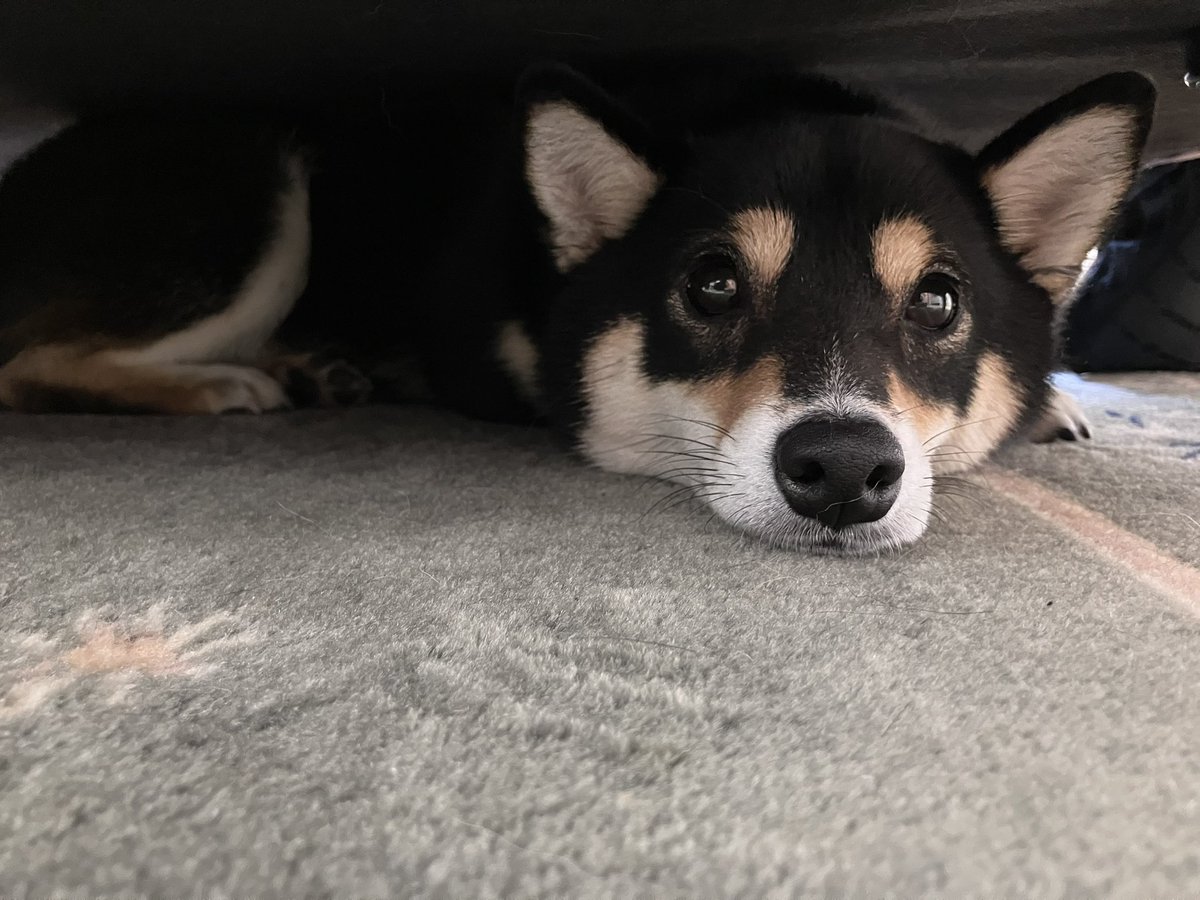 ぬ (@2skv8x) on Twitter photo 