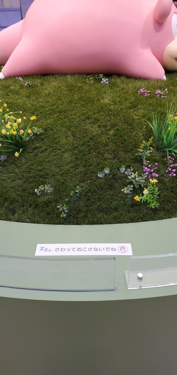 ポケモンセンターカガワのヤドンちゃん✨💓 注意書きが「さわらないで