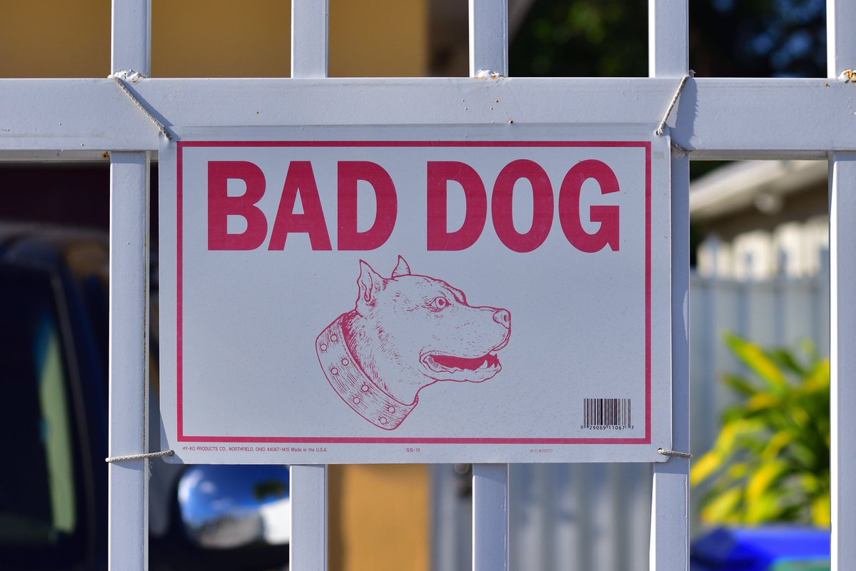 pantredeveloper's tweet image. アメリカのマイアミで見かけた個人的に好きな看板
「悪い犬」と思うなら飼うなよ…
