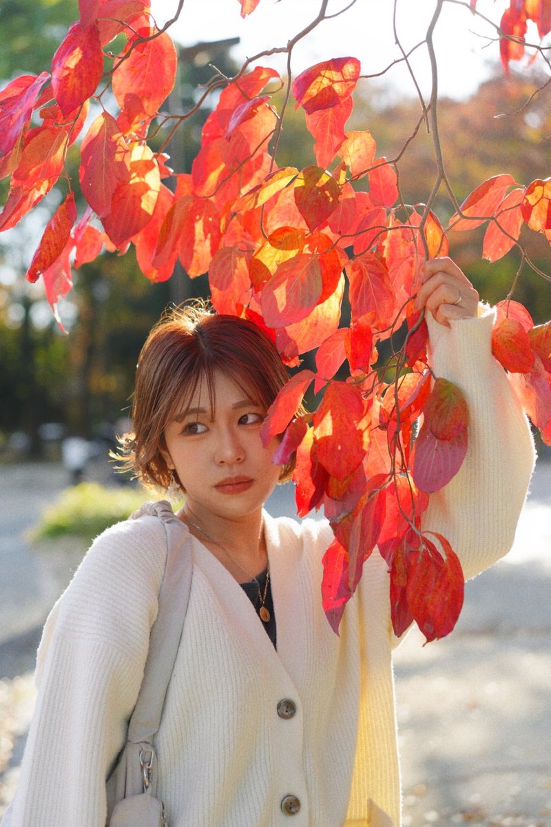 秋。

紅葉にさす午後のひかりに包まれて。

#名古屋被写体