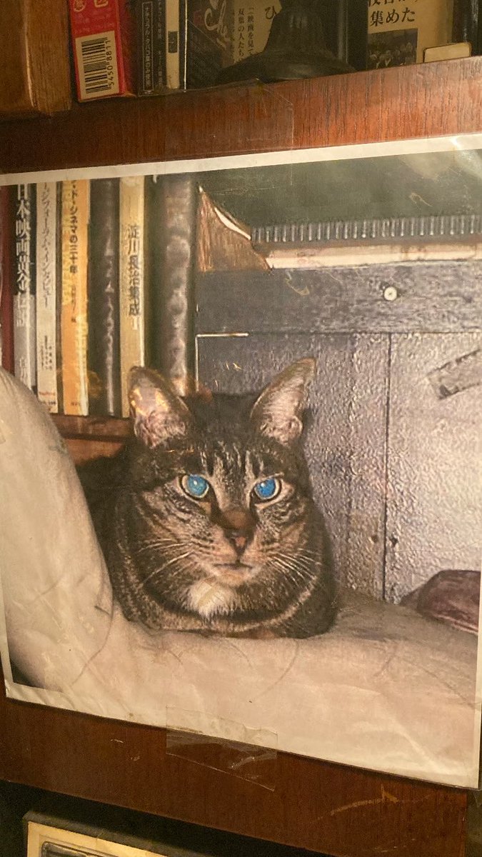 今年も後1カ月。波乱万丈の1年に終止符が打たれます。その人生の終わりの意味もあるのでしょうか、偶然にも私と吉田の前歯の差し歯がポロッと取れました。